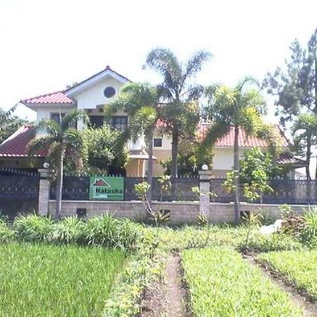 Grya Natasha Apartman Yogyakarta Kültér fotó