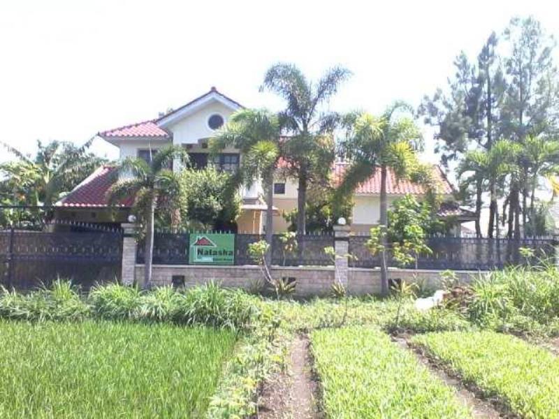 Grya Natasha Apartman Yogyakarta Kültér fotó